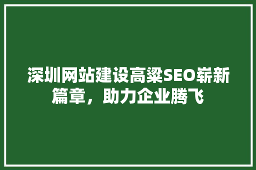 深圳网站建设高粱SEO崭新篇章，助力企业腾飞