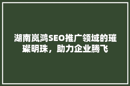 湖南岚鸿SEO推广领域的璀璨明珠，助力企业腾飞