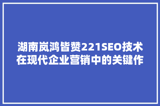 湖南岚鸿皆赞221SEO技术在现代企业营销中的关键作用