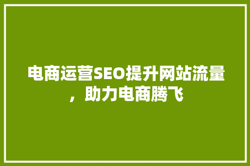 电商运营SEO提升网站流量，助力电商腾飞