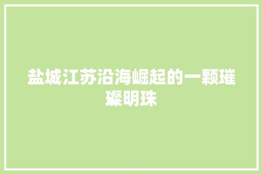盐城江苏沿海崛起的一颗璀璨明珠