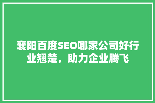 襄阳百度SEO哪家公司好行业翘楚，助力企业腾飞