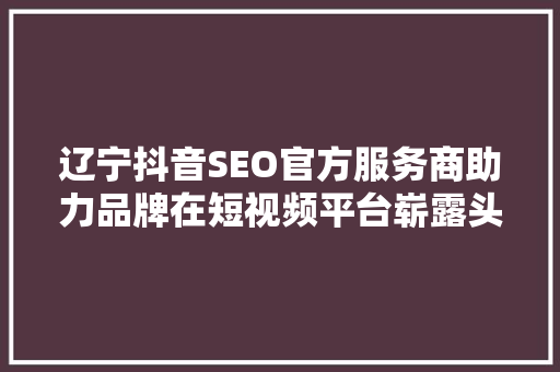 辽宁抖音SEO官方服务商助力品牌在短视频平台崭露头角  第1张