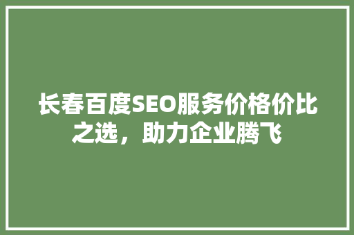 长春百度SEO服务价格价比之选，助力企业腾飞