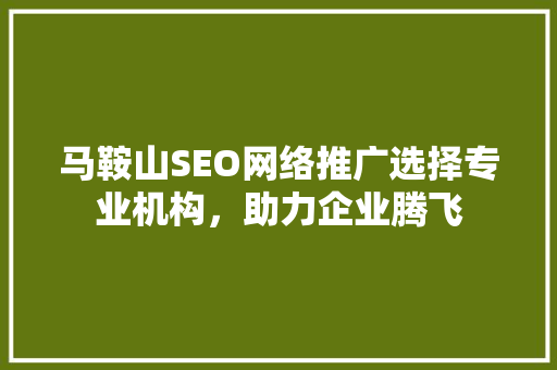 马鞍山SEO网络推广选择专业机构，助力企业腾飞