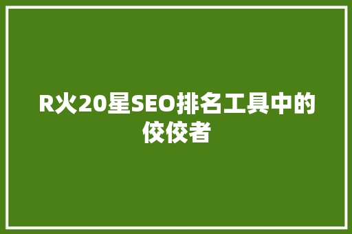 R火20星SEO排名工具中的佼佼者