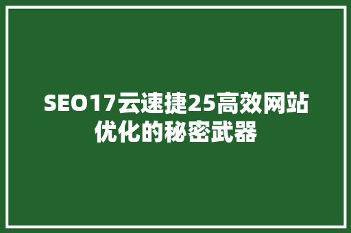 SEO17云速捷25高效网站优化的秘密武器  第1张