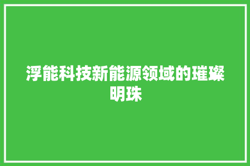 浮能科技新能源领域的璀璨明珠
