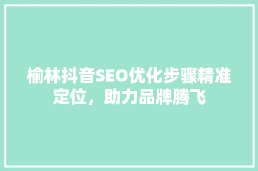 榆林抖音SEO优化步骤精准定位，助力品牌腾飞