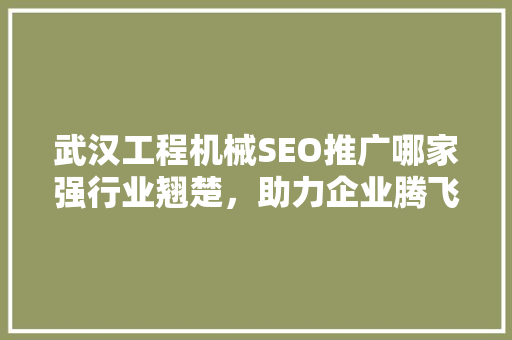 武汉工程机械SEO推广哪家强行业翘楚，助力企业腾飞