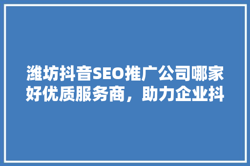 潍坊抖音SEO推广公司哪家好优质服务商，助力企业抖音营销腾飞  第1张