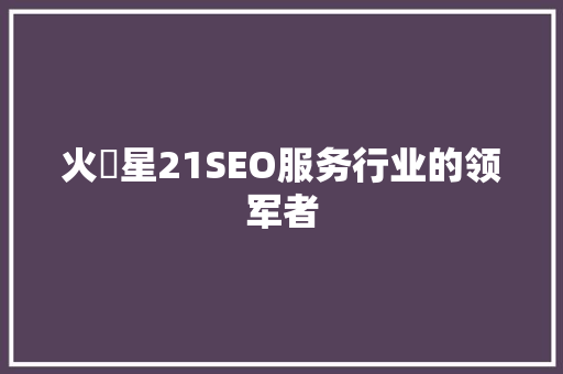 火亅星21SEO服务行业的领军者