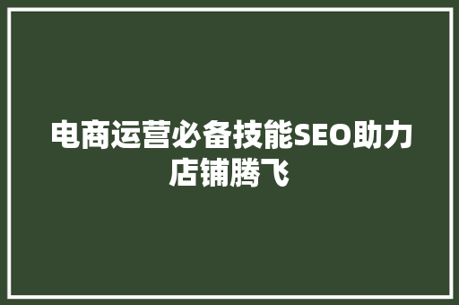 电商运营必备技能SEO助力店铺腾飞