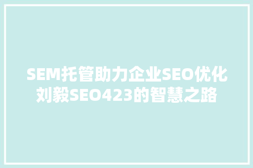 SEM托管助力企业SEO优化刘毅SEO423的智慧之路