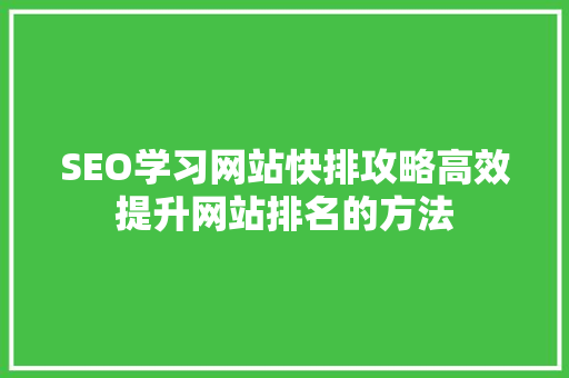 SEO学习网站快排攻略高效提升网站排名的方法