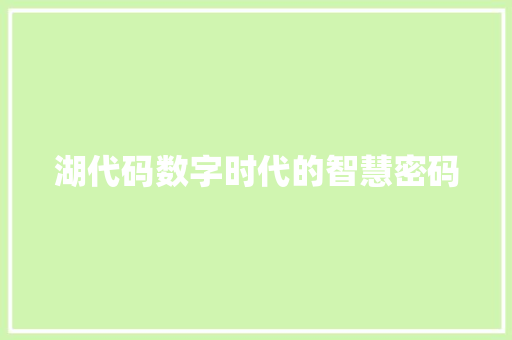 湖代码数字时代的智慧密码