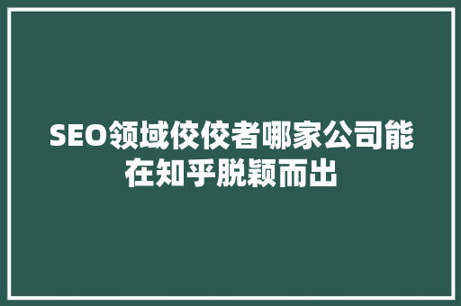 SEO领域佼佼者哪家公司能在知乎脱颖而出