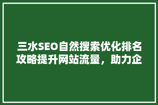三水SEO自然搜索优化排名攻略提升网站流量，助力企业腾飞