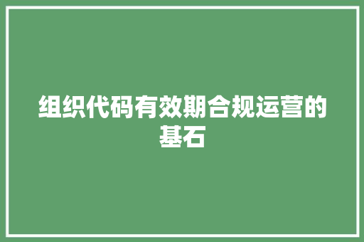 组织代码有效期合规运营的基石  第1张