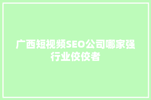 广西短视频SEO公司哪家强行业佼佼者