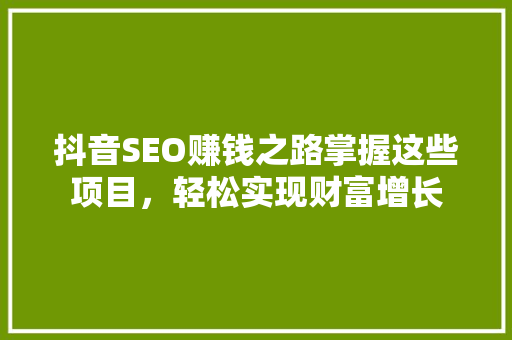 抖音SEO赚钱之路掌握这些项目，轻松实现财富增长  第1张