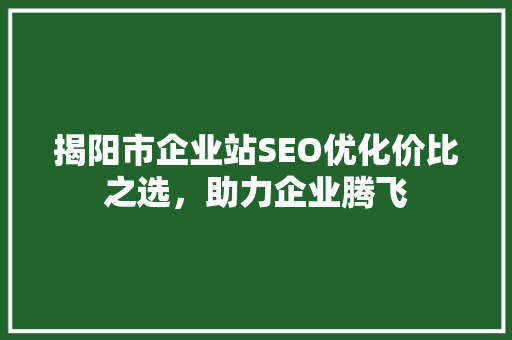 揭阳市企业站SEO优化价比之选，助力企业腾飞