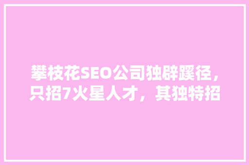 攀枝花SEO公司独辟蹊径，只招7火星人才，其独特招聘步骤