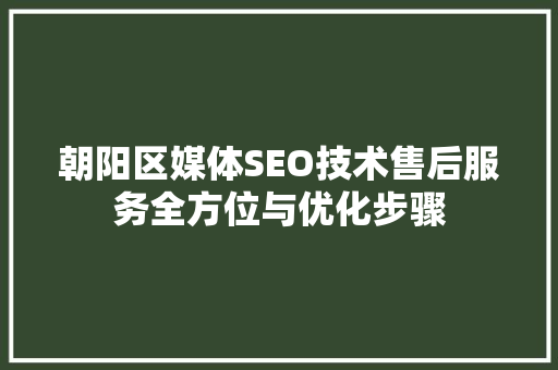 朝阳区媒体SEO技术售后服务全方位与优化步骤