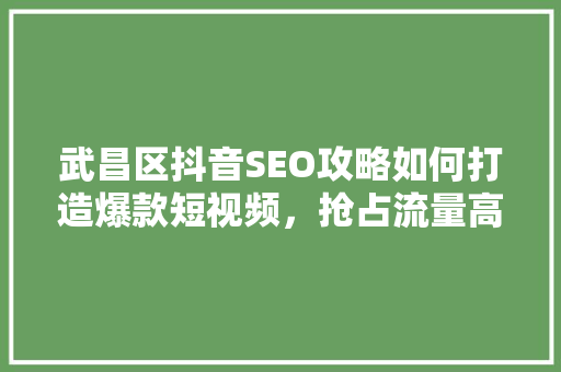 武昌区抖音SEO攻略如何打造爆款短视频，抢占流量高地