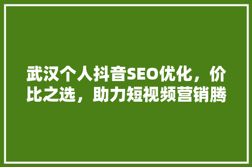 武汉个人抖音SEO优化，价比之选，助力短视频营销腾飞