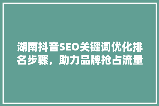 湖南抖音SEO关键词优化排名步骤，助力品牌抢占流量高地