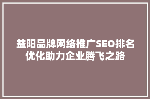 益阳品牌网络推广SEO排名优化助力企业腾飞之路