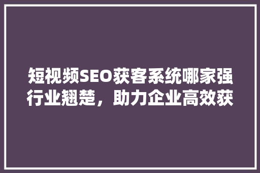 短视频SEO获客系统哪家强行业翘楚，助力企业高效获客  第1张