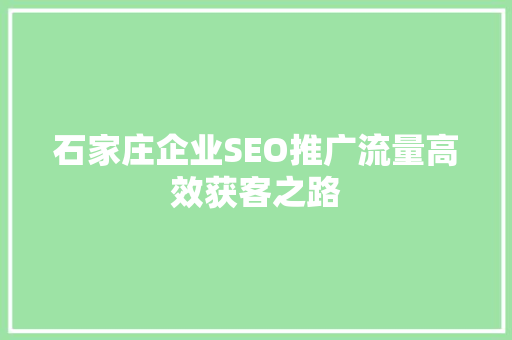 石家庄企业SEO推广流量高效获客之路