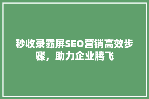 秒收录霸屏SEO营销高效步骤，助力企业腾飞