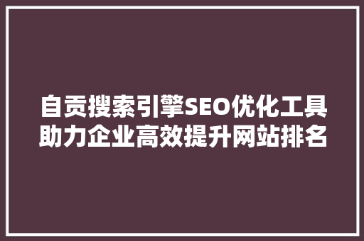 自贡搜索引擎SEO优化工具助力企业高效提升网站排名与流量