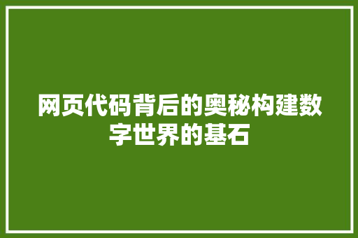 网页代码背后的奥秘构建数字世界的基石