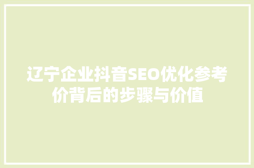 辽宁企业抖音SEO优化参考价背后的步骤与价值