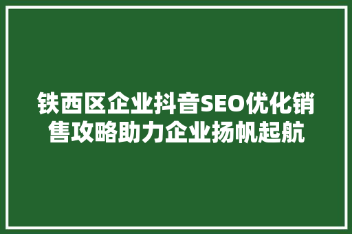 铁西区企业抖音SEO优化销售攻略助力企业扬帆起航