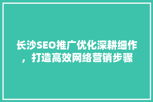 长沙SEO推广优化深耕细作，打造高效网络营销步骤