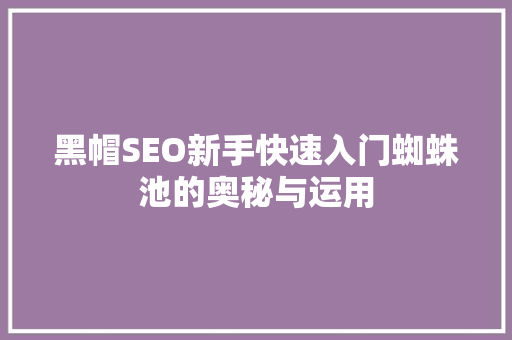 黑帽SEO新手快速入门蜘蛛池的奥秘与运用  第1张