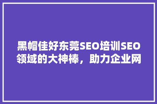黑帽佳好东莞SEO培训SEO领域的大神棒，助力企业网络营销腾飞