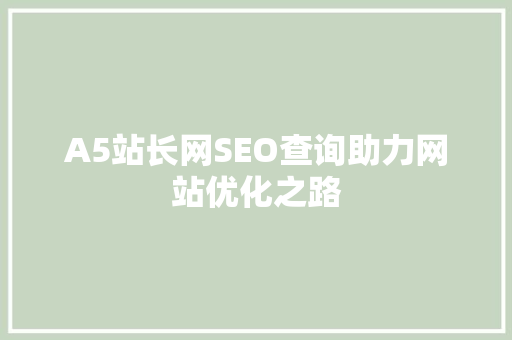 A5站长网SEO查询助力网站优化之路