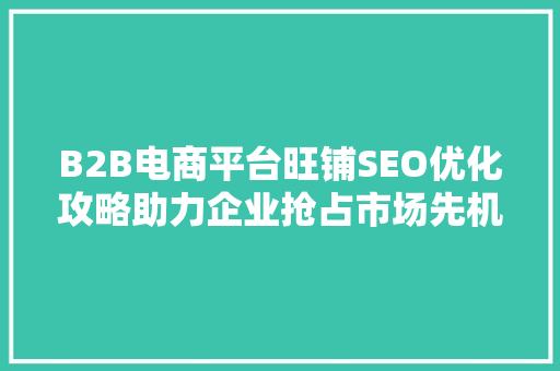 B2B电商平台旺铺SEO优化攻略助力企业抢占市场先机