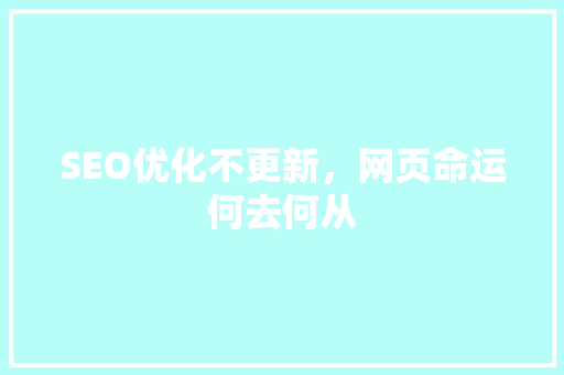 SEO优化不更新，网页命运何去何从