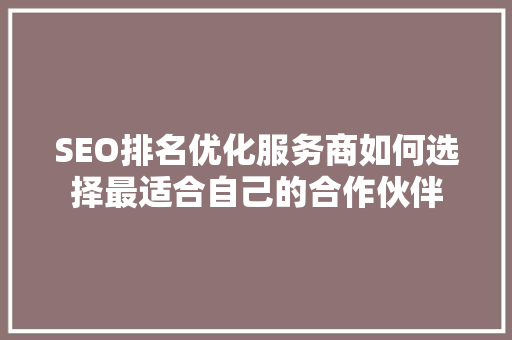 SEO排名优化服务商如何选择最适合自己的合作伙伴