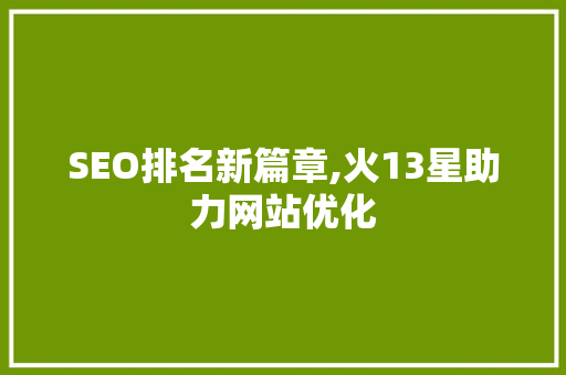 SEO排名新篇章,火13星助力网站优化