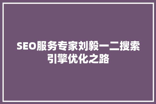 SEO服务专家刘毅一二搜索引擎优化之路