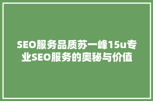 SEO服务品质苏一峰15u专业SEO服务的奥秘与价值  第1张