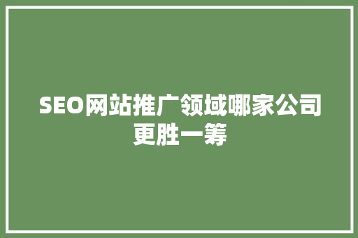 SEO网站推广领域哪家公司更胜一筹